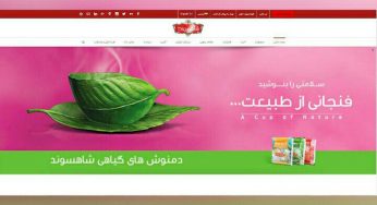طراحی سایت شرکتی محصولات شاهسوند