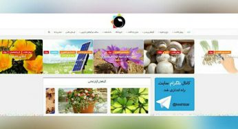 طراحی وب سایت کشتزار