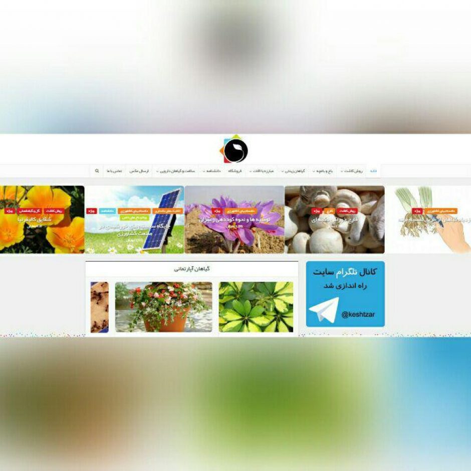 طراحی وب سایت آموزشی