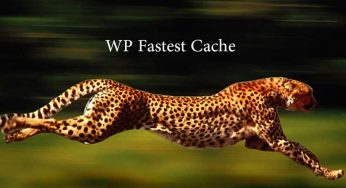 بهینه سازی سایت با WP Fastest Cache