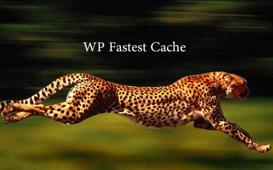 WP Fastest Cache