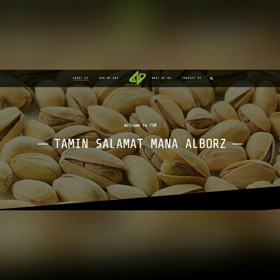 طراحی سایت شرکتی تامین سلامت