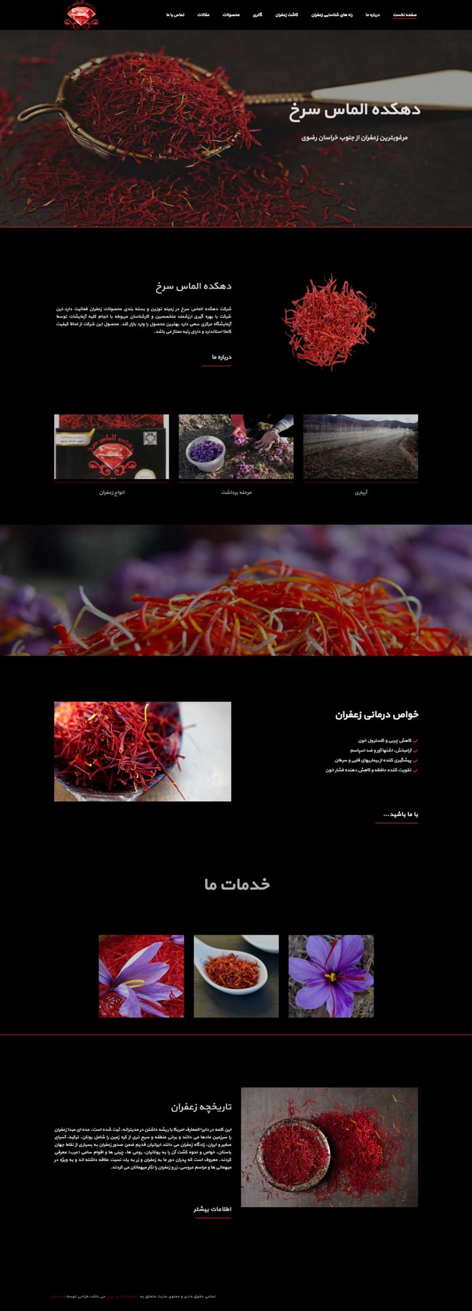 طراحی سایت در کرج