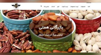 طراحی سایت بازرگانی همتی