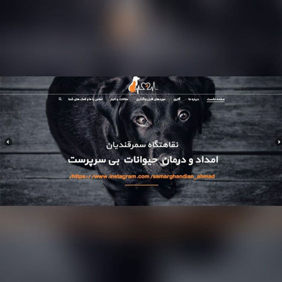 طراحی سایت حمایتی