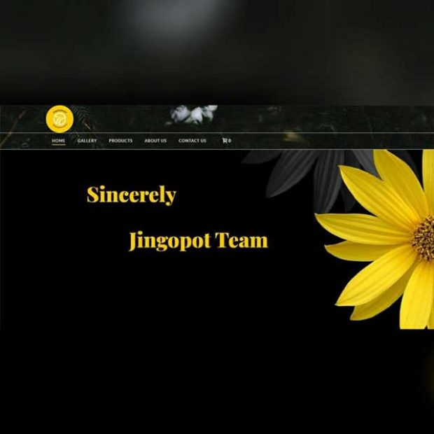 طراحی وب سایت انگلیسی جینگوپات