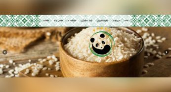 طراحی سایت برنج پاندا