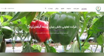 طراحی سایت شرکتی دانش بنیان توسعه گیاهان زراعی
