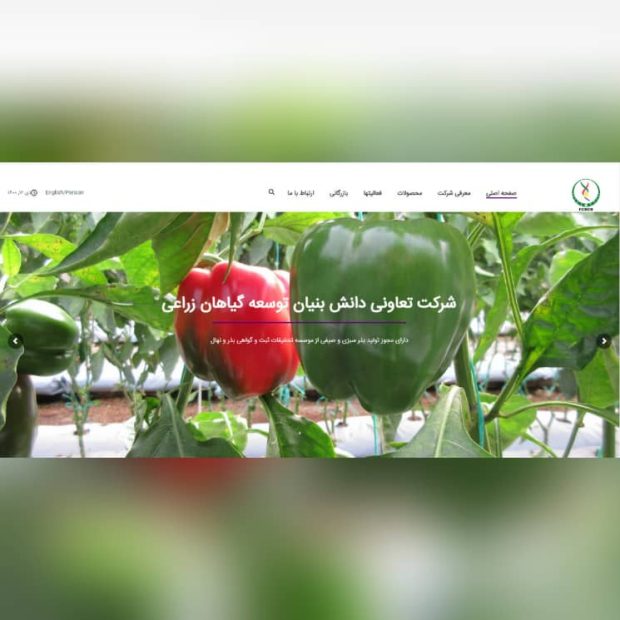طراحی سایت شرکتی دانش بنیان توسعه گیاهان زراعی
