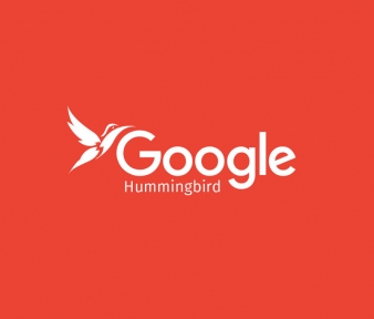 الگوریتم مرغ مگس خوار گوگل Hummingbird