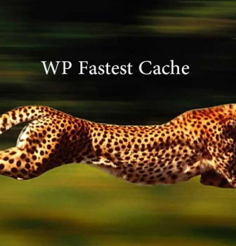 بهینه سازی سایت با WP Fastest Cache